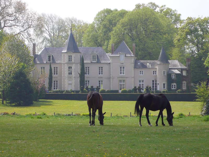Haras de la Potardière_72200 CROSMIERES_2